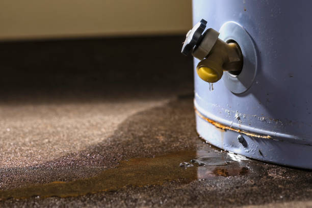 Best Flood damage cleanup  in Winthrop Harbor, IL