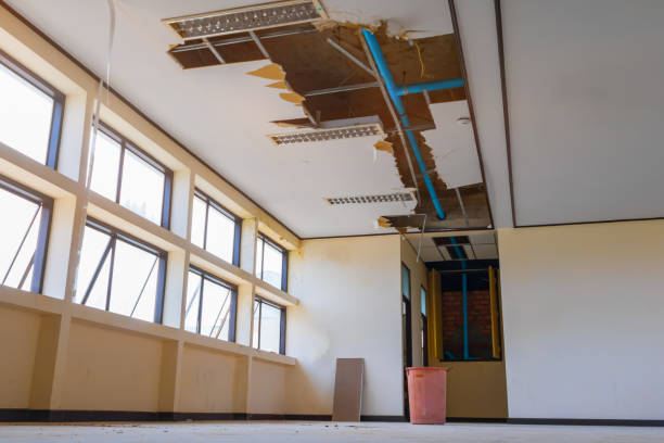 Best Water damage restoration near me  in Winthrop Harbor, IL