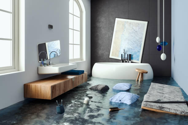 Best Water damage restoration experts  in Winthrop Harbor, IL