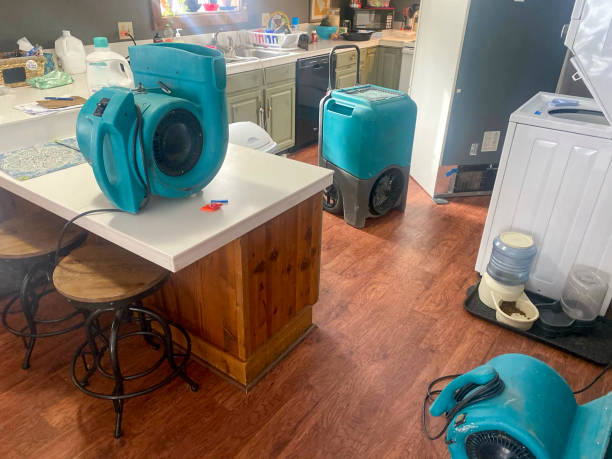 Best Emergency water damage restoration  in Winthrop Harbor, IL