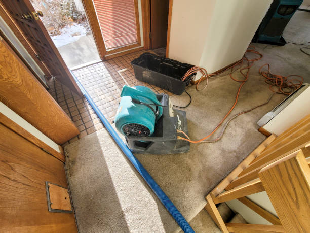  Winthrop Harbor, IL Water damage restoration Pros