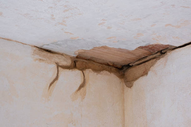 Best Commercial water damage restoration  in Winthrop Harbor, IL
