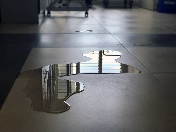 Water damage restoration experts in Winthrop Harbor, IL