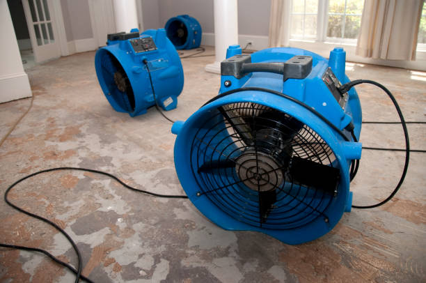 Best Professional water damage repair  in Winthrop Harbor, IL