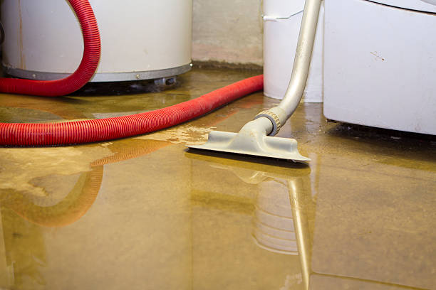 Best 24-hour water damage restoration  in Winthrop Harbor, IL