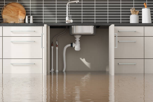 Best 24/7 water damage repair  in Winthrop Harbor, IL
