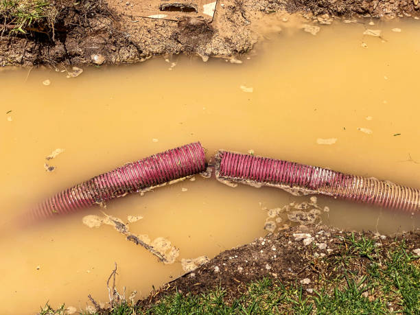 Best Fire Damage Restoration  in Winthrop Harbor, IL