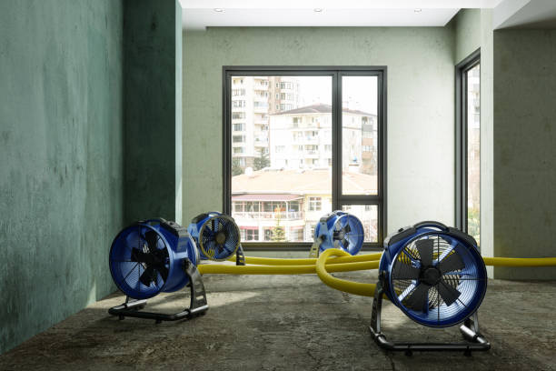 Water damage restoration process in Winthrop Harbor, IL