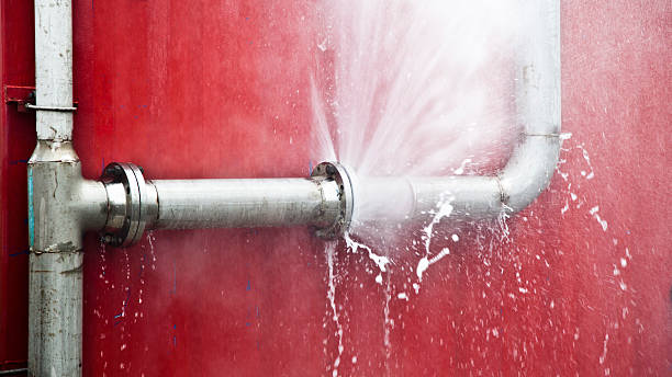 Best Mold removal after water damage  in Winthrop Harbor, IL