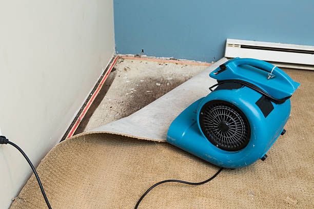 Best Water damage contractors near me  in Winthrop Harbor, IL