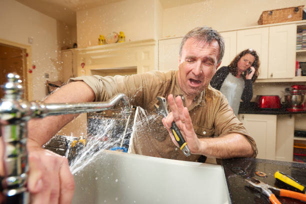 Best Local water damage restoration  in Winthrop Harbor, IL